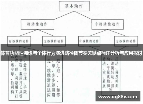 体育功能性训练与个体行为演进路径图节奏关键点标注分析与应用探讨